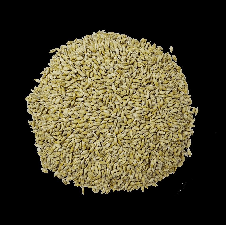 2 SIRALI ARPA G�zel            
